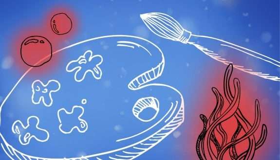 56e Concours International Raiffeisen pour la Jeunesse